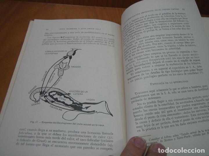 Libros antiguos: Antiguo libro de iseminacion artificial en el ganado vacuno - Foto 5