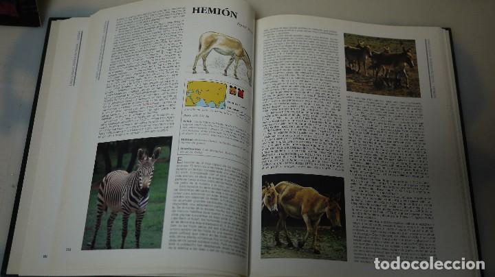 Libros antiguos: ANIMALES EN PELIGRO DE EXTINCION ADENA/WWF - Foto 1