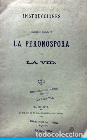 Libros antiguos: INSTRUCCIONES PARA RECONOCER Y COMBATIR LA PERONOSPORA DE LA VID. - Foto 1