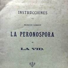 Libros antiguos: INSTRUCCIONES PARA RECONOCER Y COMBATIR LA PERONOSPORA DE LA VID.