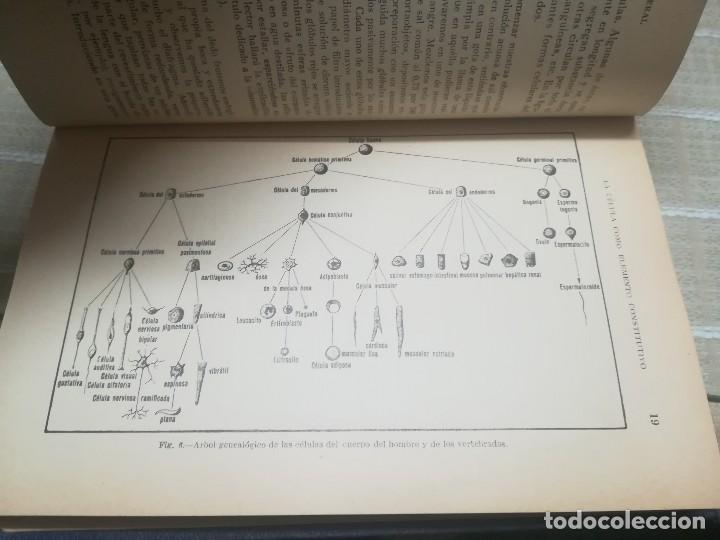 Libros antiguos: BIOLOGIA GENERAL. HERMANN ROMPP. 1936. - Foto 2