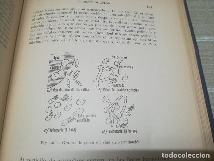 Libros antiguos: BIOLOGIA GENERAL. HERMANN ROMPP. 1936. - Foto 10
