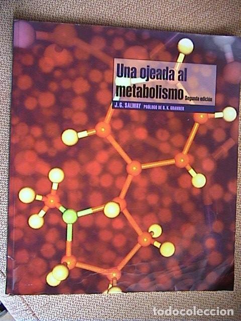 Libros antiguos: Una ojeada al metabolismo. - Foto 1