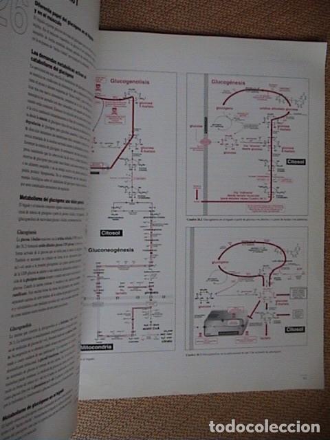 Libros antiguos: Una ojeada al metabolismo. - Foto 3
