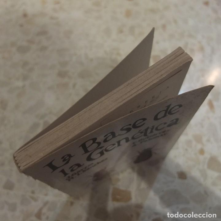 Libros antiguos: La base de la Gen&eacute;tica - PENTHALON Ediciones - Foto 4