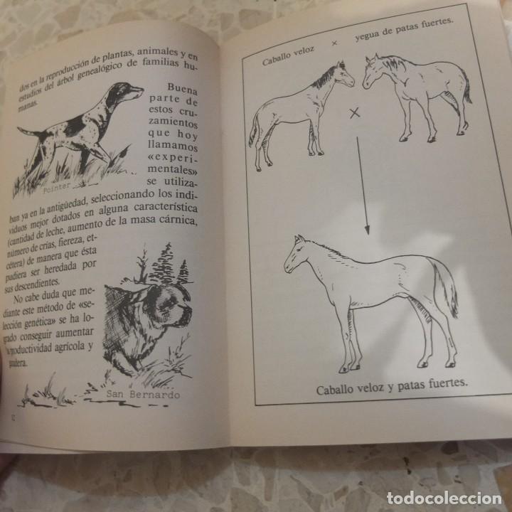 Libros antiguos: La base de la Gen&eacute;tica - PENTHALON Ediciones - Foto 5