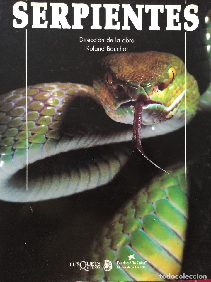 Libros antiguos: Serpientes - Foto 1