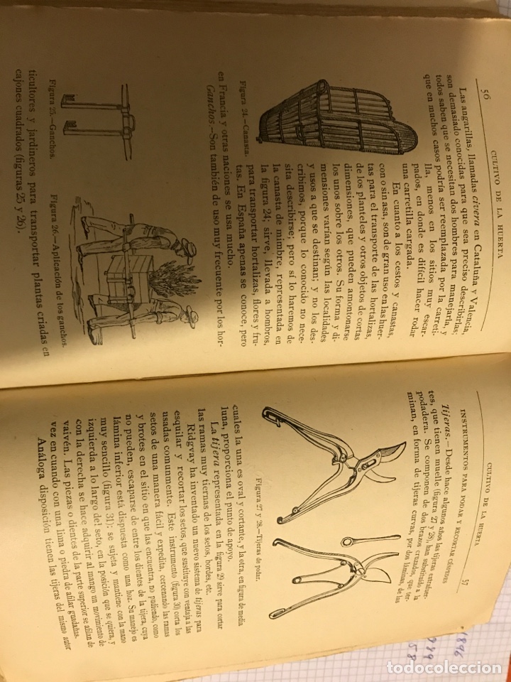 Libros antiguos: Cultivo de la huerta 1931 - Foto 2