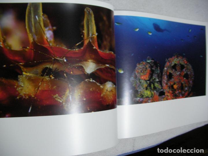 Libros antiguos: EL MAR - Foto 2