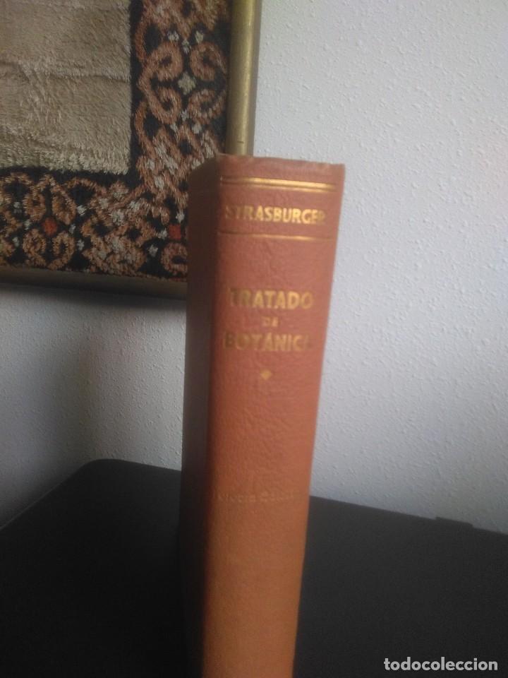 Libros antiguos: Strasburger, Tratado de Bot&aacute;nica - Foto 2