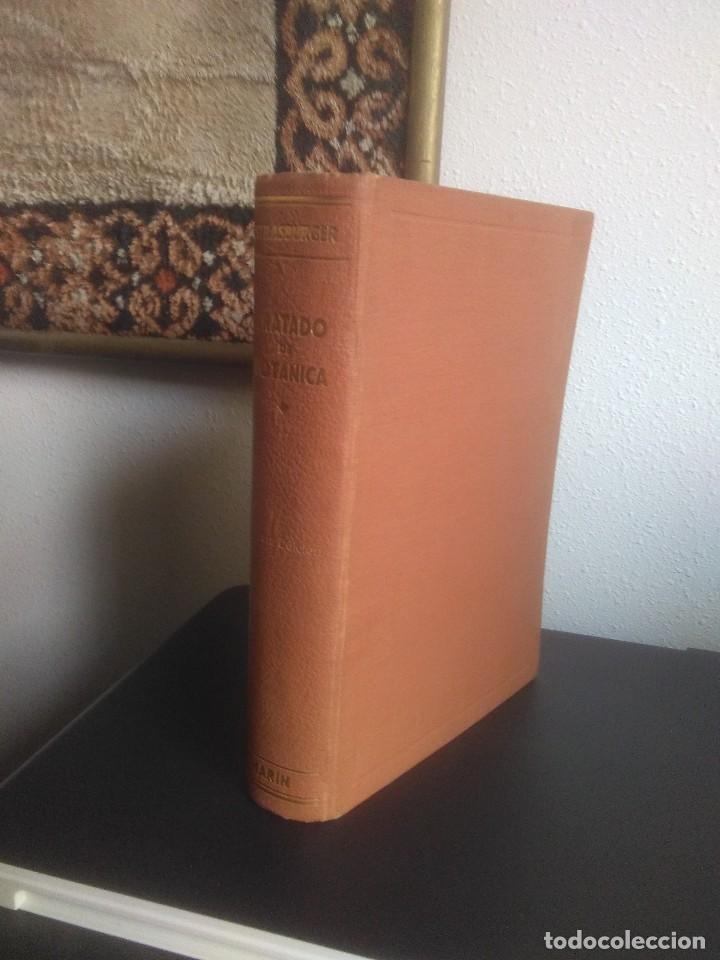 Libros antiguos: Strasburger, Tratado de Bot&aacute;nica - Foto 1