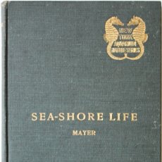 Libros antiguos: SEA-SHORE LIFE. THE INVERTEBRATES OF THE NEW YORK COAST AND THE ADJACENT COAST REGION.. Lote 123195338