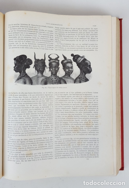 Libros antiguos: LA CREACIÓN. HISTORIA NATURAL. ZOOLOGÍA Ó REINO ANIMAL. 6 TOMOS. 1880/1885. - Foto 5 - 138109022