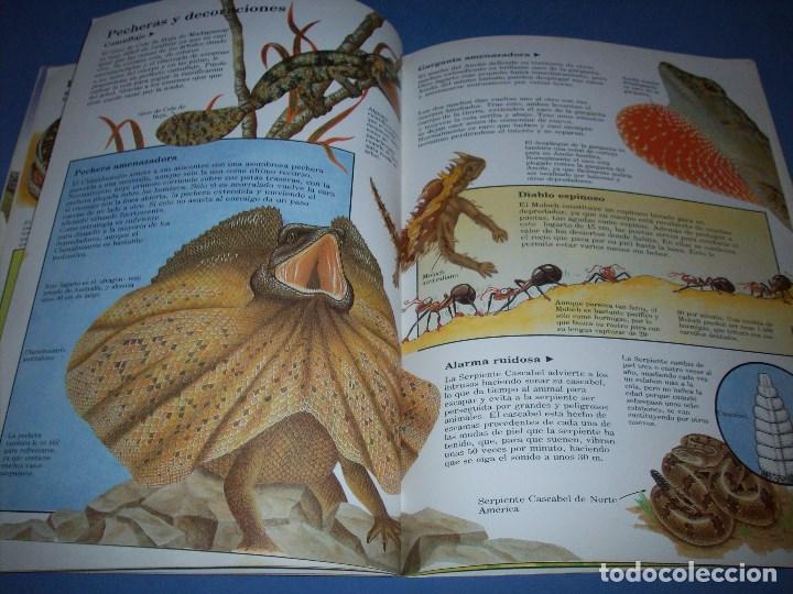 Libros antiguos: misterios y maravillas de los reptiles - Foto 2