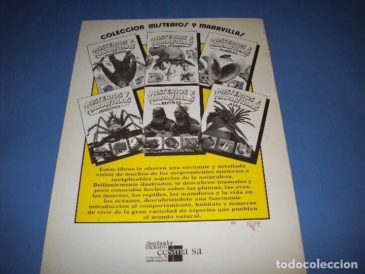 Libros antiguos: misterios y maravillas de los reptiles - Foto 3