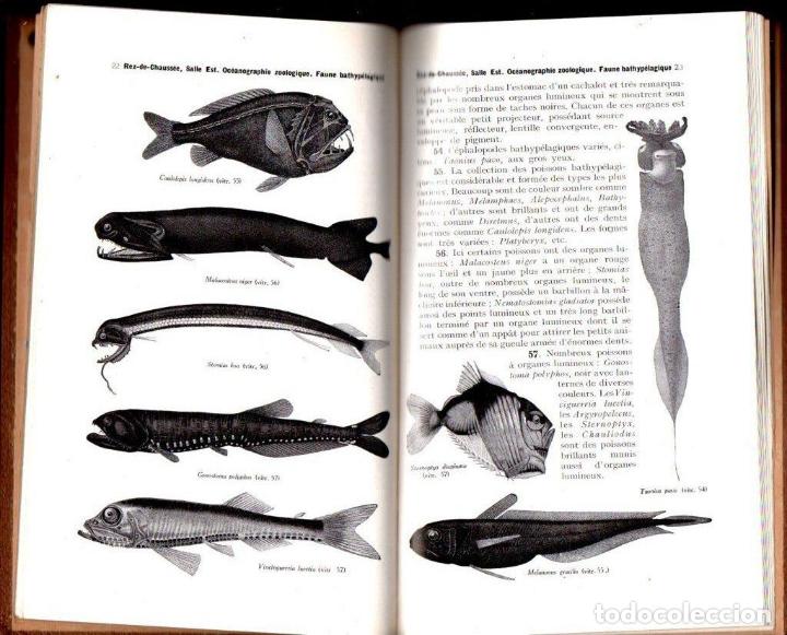 Libros antiguos: J. RICHARD : LE MUS&Eacute;E OC&Eacute;ANOGRAPHIQUE DE MONACO GUIDE ILLUSTR&Eacute; (1923) - Foto 3