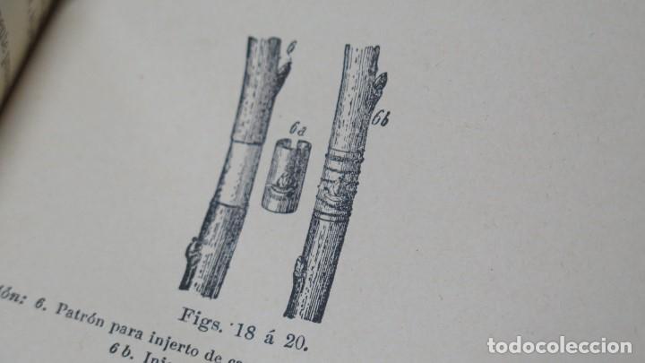 Libros antiguos: MANUAL DEL JARDINERO. LAS FLORES - Foto 4