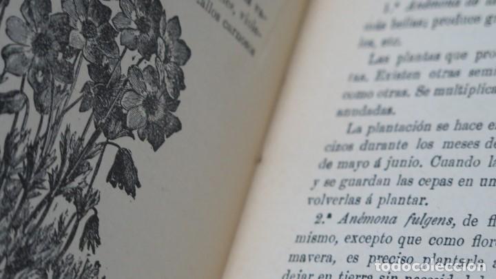 Libros antiguos: MANUAL DEL JARDINERO. LAS FLORES - Foto 5