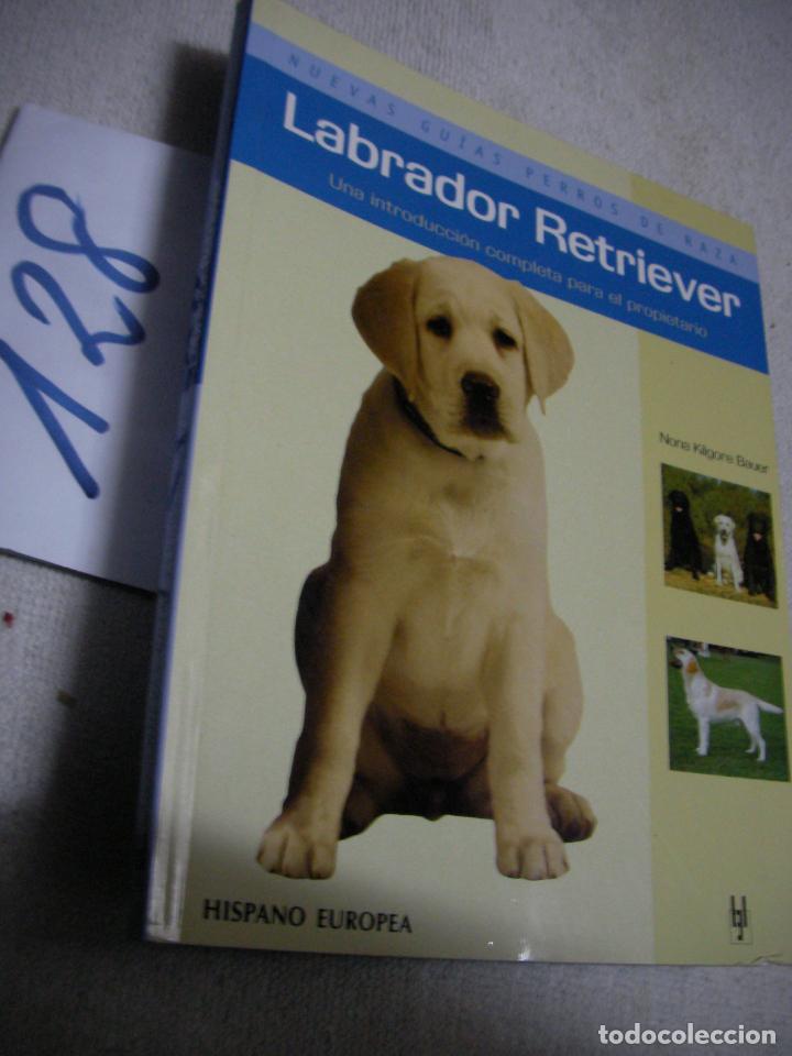 Libros antiguos: LIBRO SOBRE EL LABRADOR RETRIEVER - Foto 1