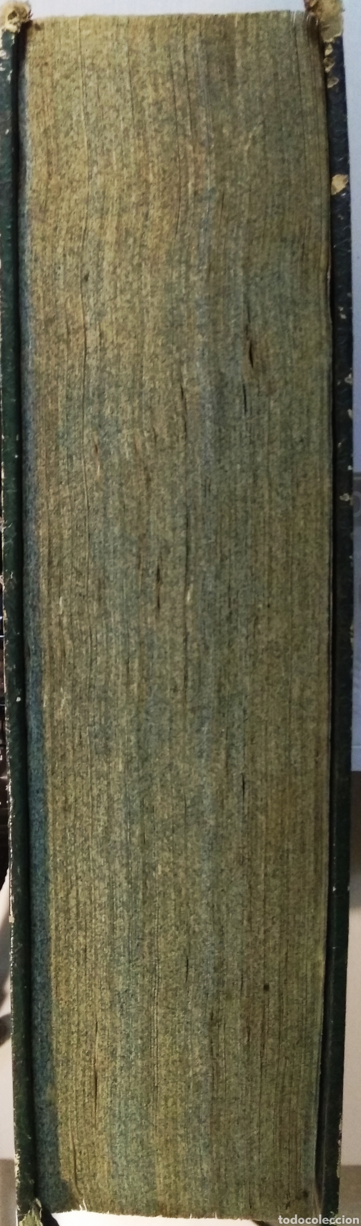 Libros antiguos: Libro:DESCRIPCION DE LAS PLANTAS QUE D. ANTONIO JOSEF CAVANILLES - Foto 6