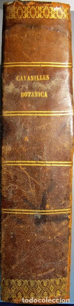 Libros antiguos: Libro:DESCRIPCION DE LAS PLANTAS QUE D. ANTONIO JOSEF CAVANILLES - Foto 1