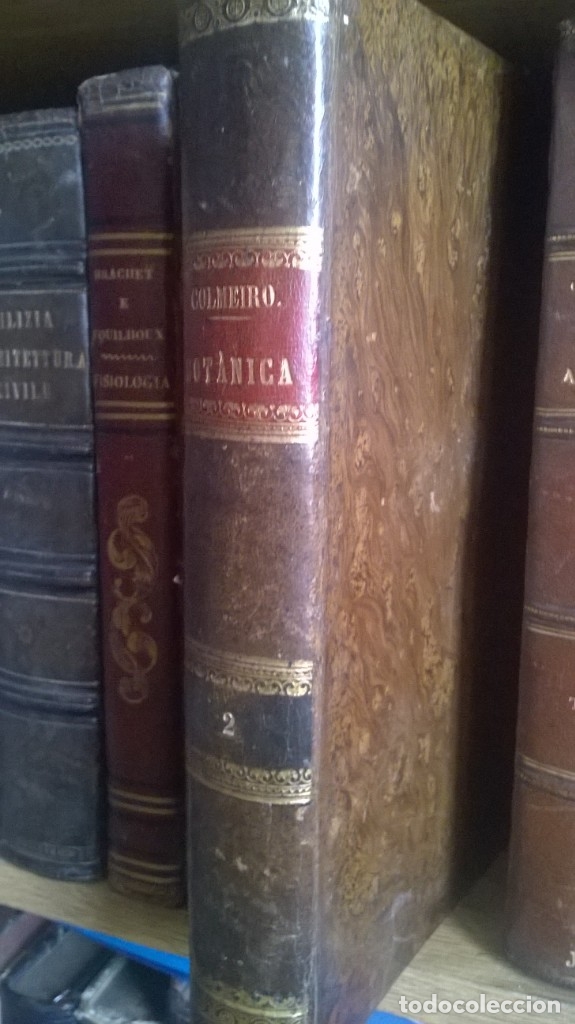 Libros antiguos: Curso de Bot&aacute;nica - 1871 - Foto 3