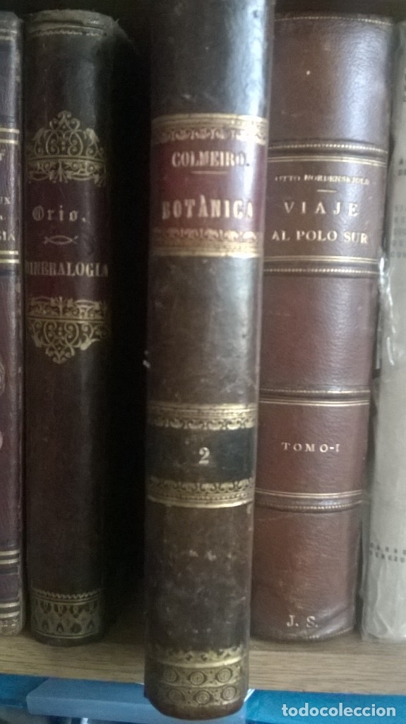 Libros antiguos: Curso de Bot&aacute;nica - 1871 - Foto 4