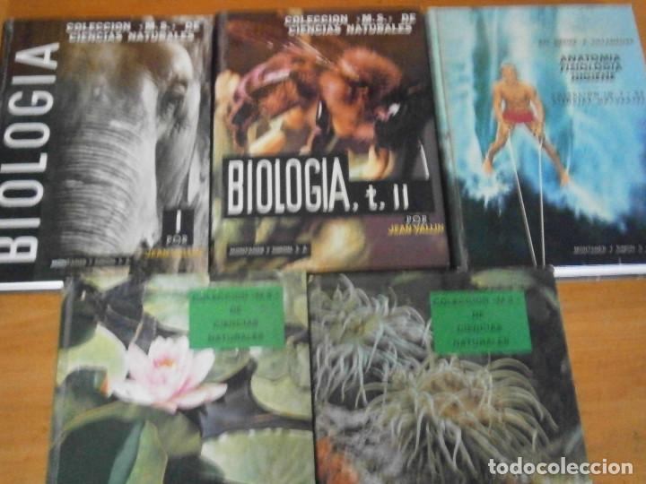 Libros antiguos: COLECCION DE LIBROS CIENCIAS ..MOMTANER Y SIMON - Foto 3