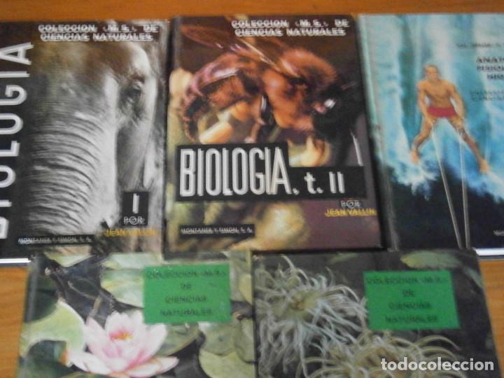 Libros antiguos: COLECCION DE LIBROS CIENCIAS ..MOMTANER Y SIMON - Foto 4