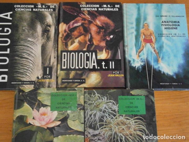 Libros antiguos: COLECCION DE LIBROS CIENCIAS ..MOMTANER Y SIMON - Foto 5
