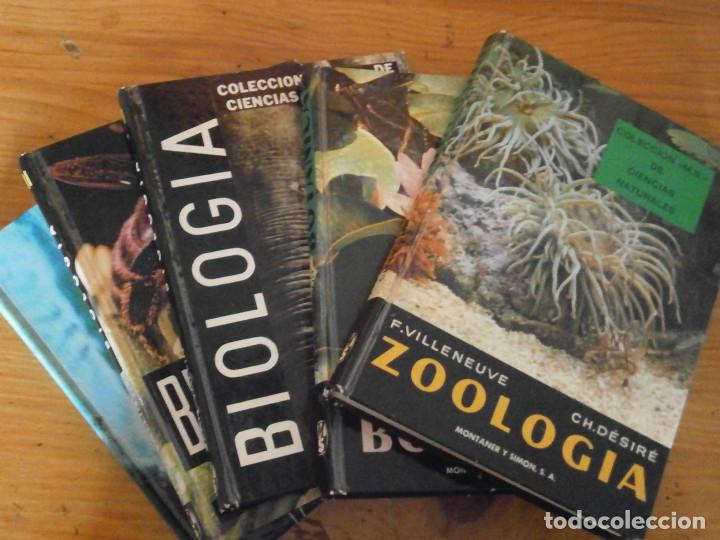 Libros antiguos: COLECCION DE LIBROS CIENCIAS ..MOMTANER Y SIMON - Foto 7