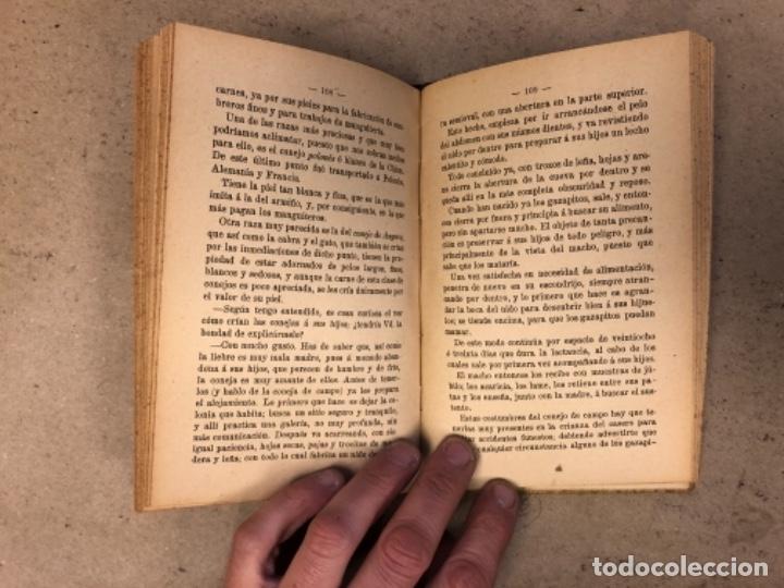 Libros antiguos: PRINCIPIOS DE ZOOTECNIA (CRIANZA DE LOS ANIMALES RELACIONADOS CON LA AGRICULTURA). JUAN RUIZ Y TARTA - Foto 7 - 146540730