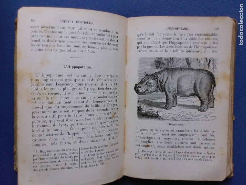 Libros antiguos: Morceaux Choisis. Buffon - Foto 4