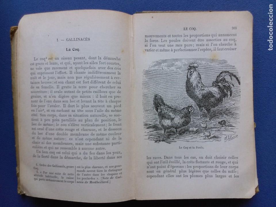 Libros antiguos: Morceaux Choisis. Buffon - Foto 5