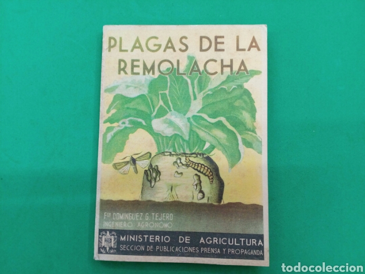 Libros antiguos: Plagas de la remolacha 1943 - Foto 1