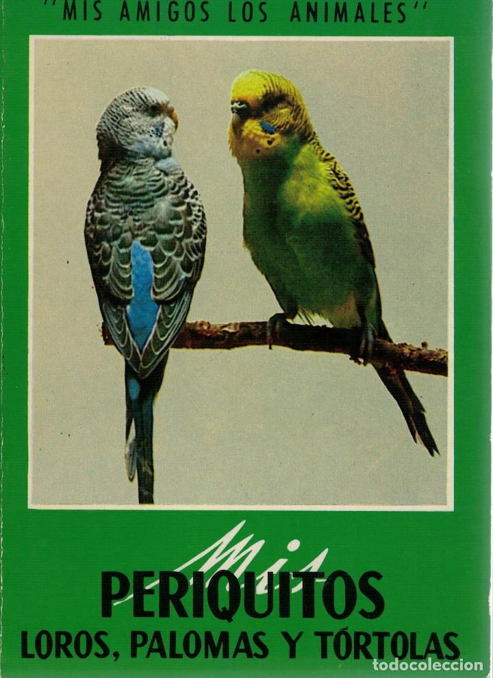 Libros antiguos: Mis periquitos, loros, palomas y t&oacute;rtolas - Foto 1
