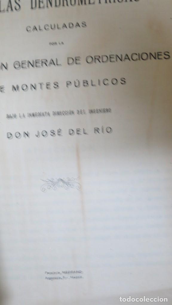 Libros antiguos: TABLAS DENDROMETRICAS. JOSE DEL RIO - Foto 2