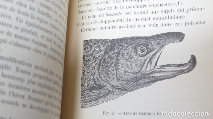 Libros antiguos: LA PISCICULTURE. C- RAVERET-WATTEL. 2 TOMOS - Foto 5