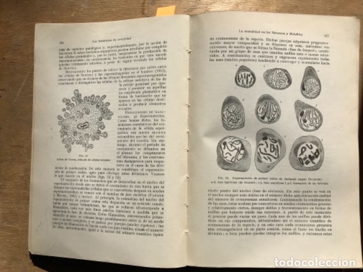 Libros antiguos: COMPENDIO DE BIOLOG&Iacute;A. UMBERTO PERIANTONI. - Foto 7