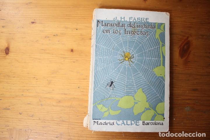 Libros antiguos: MARAVILLAS DEL INSTINTO EN LOS INSECTOS  CALPE  1920 - Foto 1