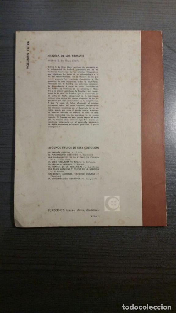 Libros antiguos: Historia de los Primates - Foto 3