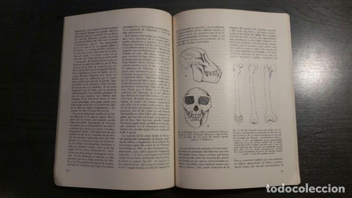 Libros antiguos: Historia de los Primates - Foto 4