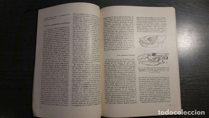 Libros antiguos: Historia de los Primates - Foto 5