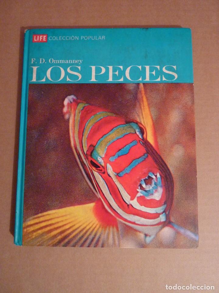Libros antiguos: LIFE COLECCI&Oacute;N POPULAR LOS PECES. A&Ntilde;O 1969. - Foto 1