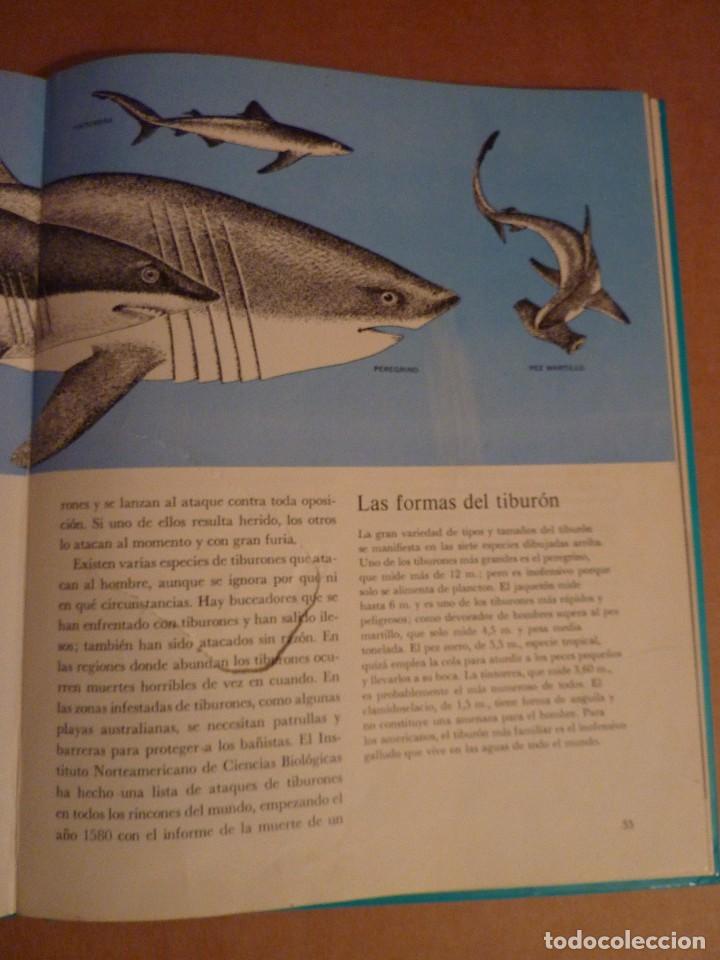 Libros antiguos: LIFE COLECCI&Oacute;N POPULAR LOS PECES. A&Ntilde;O 1969. - Foto 3