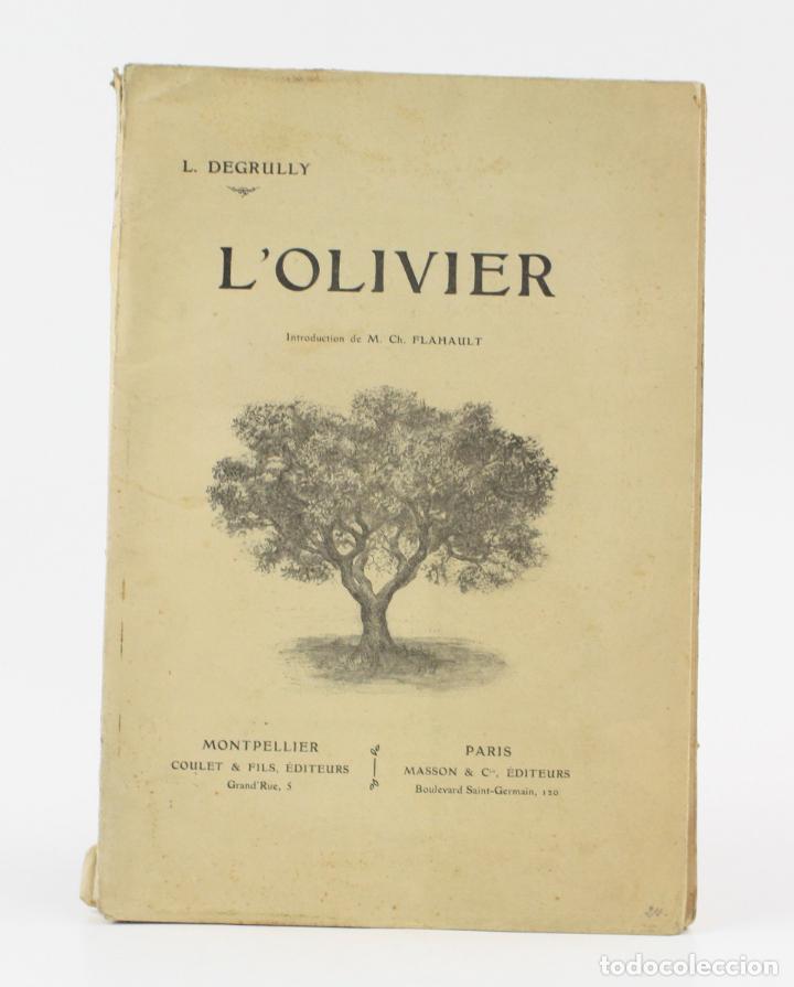 L'OLIVIER, L. DEGRULLY, 1907, PARIS, MONTPELLIER. 29X20CM (Libros Antiguos, Raros y Curiosos - Ciencias, Manuales y Oficios - Biología y Botánica)