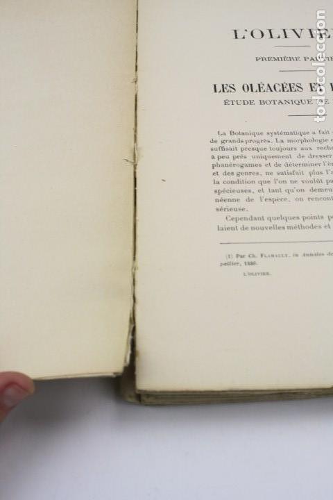 Libros antiguos: Lolivier, L. Degrully, 1907, Paris, Montpellier. 29x20cm - Foto 4 - 153947422