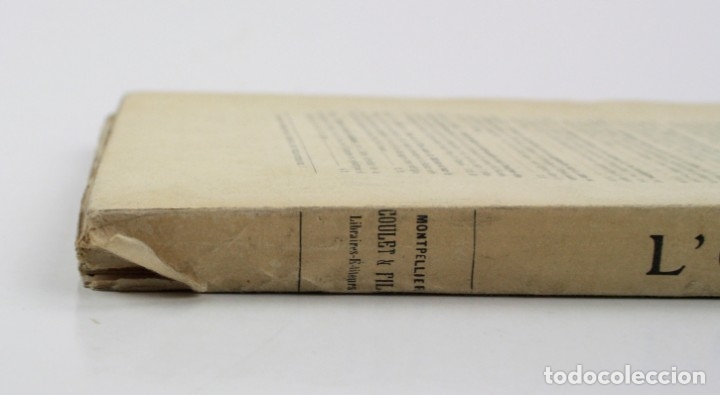 Libros antiguos: Lolivier, L. Degrully, 1907, Paris, Montpellier. 29x20cm - Foto 2 - 153947422