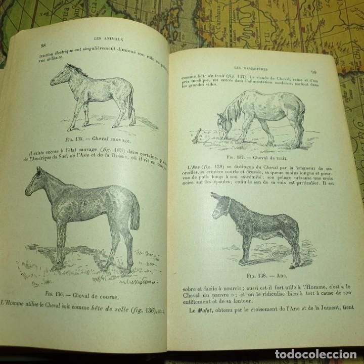 Libros antiguos: ZOOLOGIE. E. CAUSTIER. VUIBERT PARIS 1914. EN FRANC&Eacute;S. - Foto 5