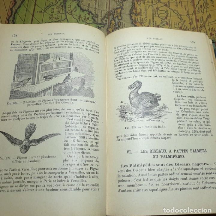 Libros antiguos: ZOOLOGIE. E. CAUSTIER. VUIBERT PARIS 1914. EN FRANC&Eacute;S. - Foto 7